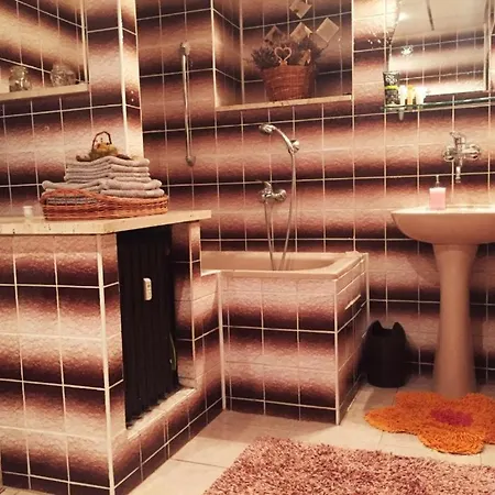 Apartman Jilemnickeho 4
